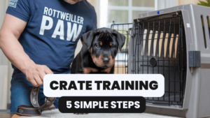 Read more about the article 5 Simple Steps to Crate Train Rottweiler Puppy (and Why You Should!)