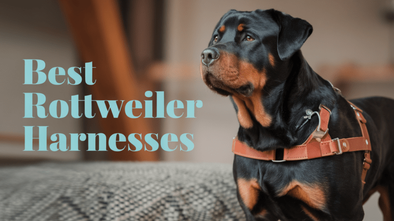Best Rottweiler Harnesses including options from RABBITGOO Tactical, Julius-K9 Power, Ruffwear Front Range, and BARKBAY No Pull designed for maximum control and comfort