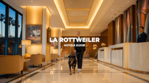 Read more about the article Best Los Angeles Rottweiler Friendly Hotels: Ultimate Guide 2025