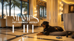 Read more about the article Best Miami Rottweiler Friendly Hotels in 2024