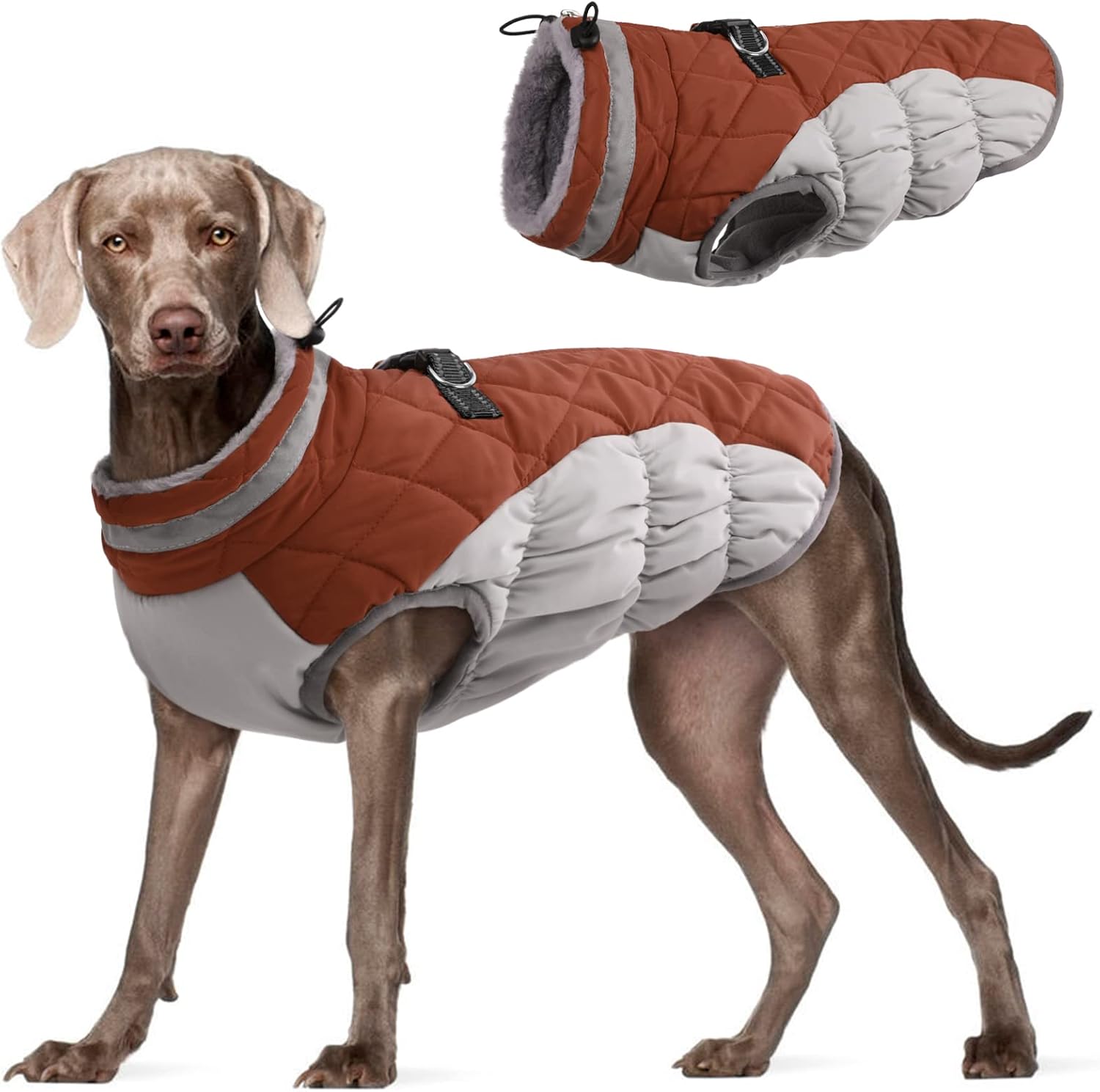 FUAMEY Dog Winter Jackets