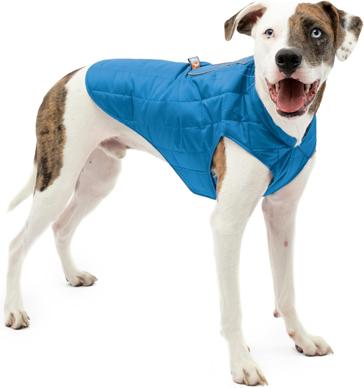 Kurgo Loft Dog Jacket