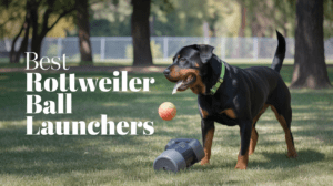 Read more about the article Best Dog Ball Launchers for Rottweilers (Updated 2025): Top 4 Tested Picks