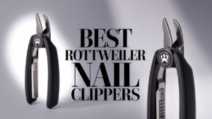 Read more about the article Best Dog Nail Clippers for Rottweilers: Top 4 Picks (Updated 2025)