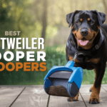 Best Dog Pooper Scoopers for Rottweilers (Top 4 Tested for 2025)