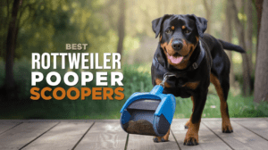 Read more about the article Best Dog Pooper Scoopers for Rottweilers (Top 4 Tested for 2025)