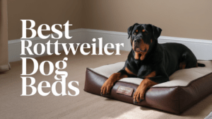 Read more about the article Best Dog Beds for Rottweilers (2025): Top 4 Premium Picks Reviewed