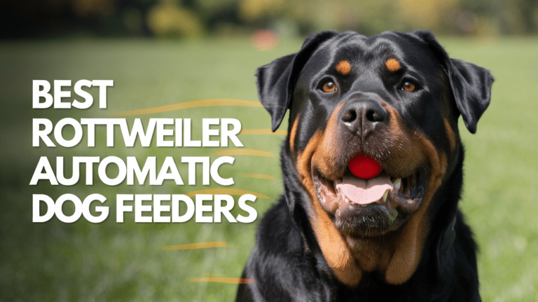 Best Rottweiler Automatic Dog Feeders comparison showing premium smart feeders from WOPET, PETLIBRO, Dokoo, and Amazon Basics designed for large breed portion control