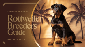 Read more about the article Rottweiler for Sale West Palm – 2025’s Top Trusted Breeders