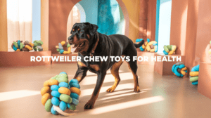 Read more about the article Rottweiler Chew Toy Benefits: Powerful Ways to Boost Your Dog’s Health in 2025