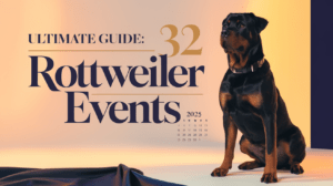 Read more about the article Exciting Rottweiler Events for January 2025